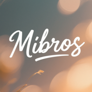 Mibros 弥补螺丝