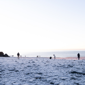 Vol.08 冬季旅行特辑：你冰天雪地去干啥？