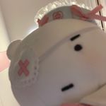 狸尾豆