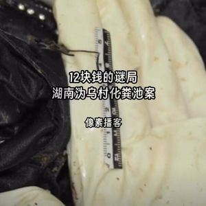 71.12块钱的谜局：湖南沩乌村化粪池案