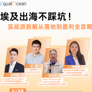 09. 埃及出海不踩坑！实战派拆解从落地到盈利全攻略