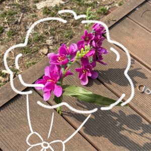 My04｜以自己舒服的状态去生活，自在清明。