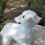阶上草色正青青