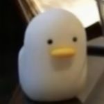 拼好饭喂了勾勾哒