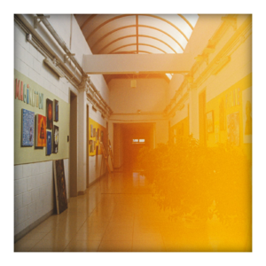 004 学校的教育：是家园是牢笼