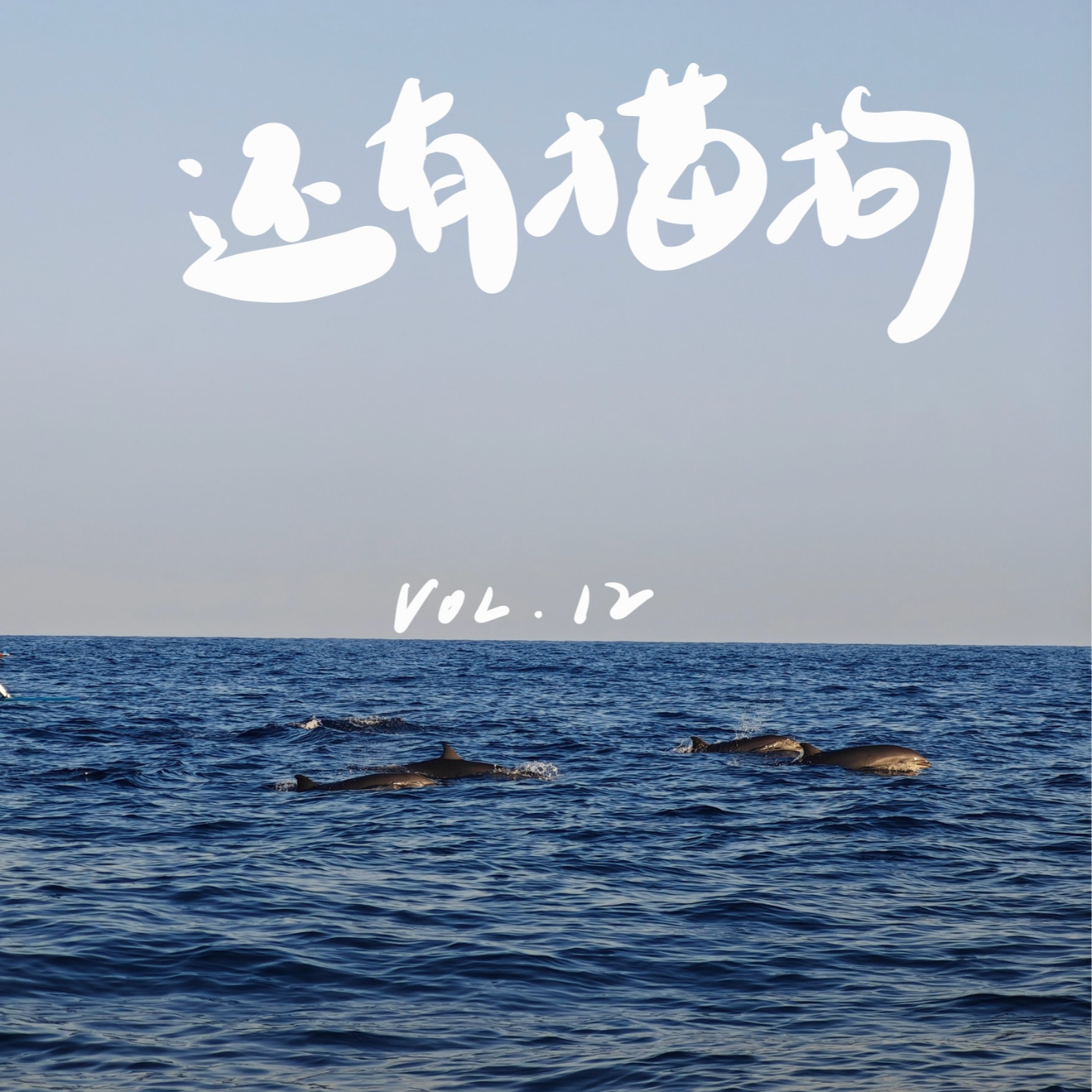 12 巴厘岛7天出逃记：是梦幻乌托邦，也是祛魅伤神地 episode artwork
