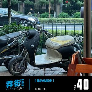 我的电瓶史
