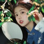 不知鹊