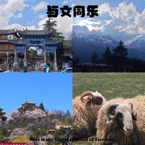 Vol.9 |云南续章：在丽江和香格里拉尽情的浪费时间。
