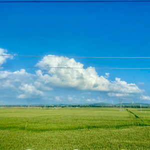 VOL10.发会儿呆吧 | 终于发现你了,“黑影”!