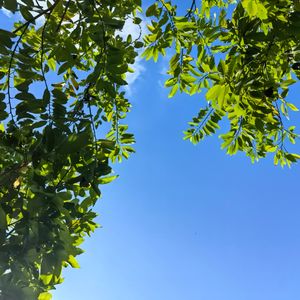 请假羞耻：权力的缺失还是自我PUA？