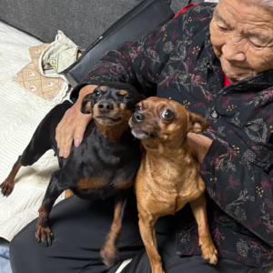 Vol.6 春节与厌女，近处的焦虑和远方的哭声