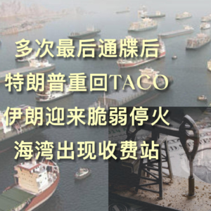 特朗普TACO带来脆弱停火，伊朗的霍尔木兹海上收费站 EP29