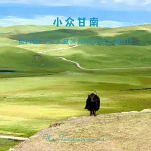 小众甘南：我们眼中的甘南是什么？