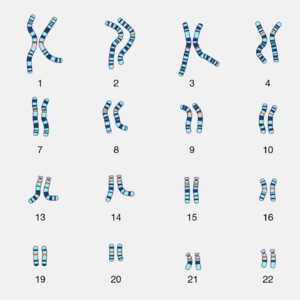 EP2 如何在美国成为遗传检验科大夫(一)@杜浩炜