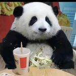 三文其