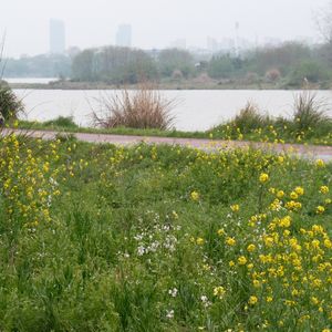 阙里archive丨人声