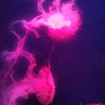 英勇的传奇调查员