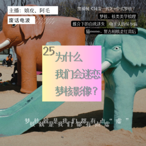 25 为什么我们会迷恋梦核影像？