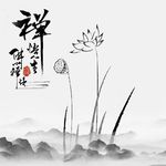 生命之奇迹