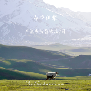 26年五一假期，春季伊犁怎么玩？