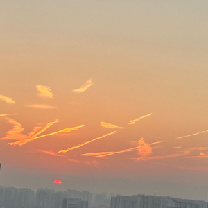 Vol.15 2023年末总结，祝大家元旦快乐！♥