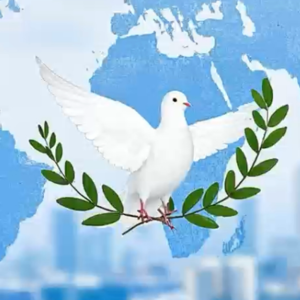 No.19《钢琴家》到《荷花淀》|生存，疯狂，迷失，守护—— 战争留下的四种人性痕迹