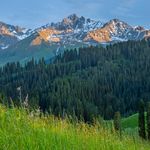 山海听涛声