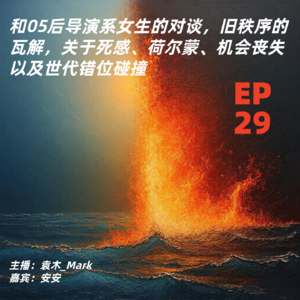29. 和05后导演系女生的对谈，旧秩序的瓦解，关于死感、荷尔蒙、机会丧失以及世代错位碰撞