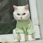 那咋了_ZGum
