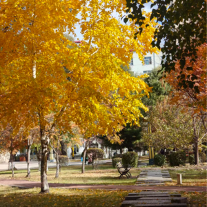 16.我不要“既要又要” 的内耗，我要忙碌中的掌控感