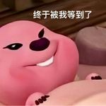 平时都必须开始