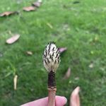 绵绵延延