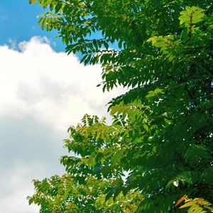 青岭的个人播客