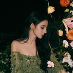 不吃鱼的东东