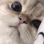 慈川