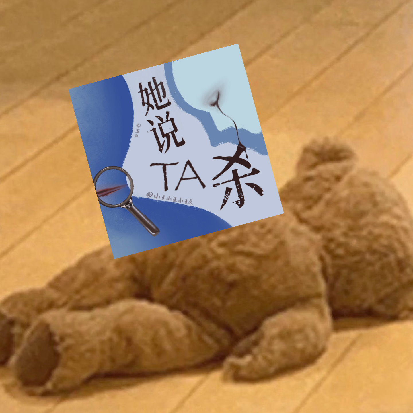 Vol.77 做了三个月罪案主播什么感受 episode artwork