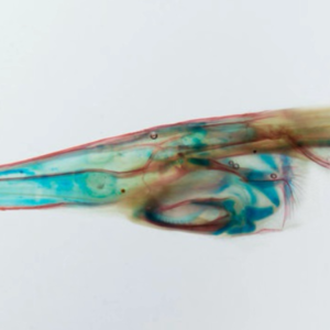 44:跨年到底跨过了什么