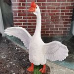 零小灶的闭眼时刻