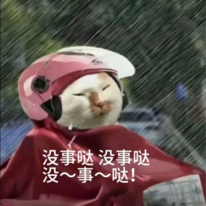 9 | 人生如戏, 被友情chuang飞后的那些痛和感悟