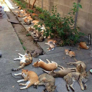 碎片 关于小红书