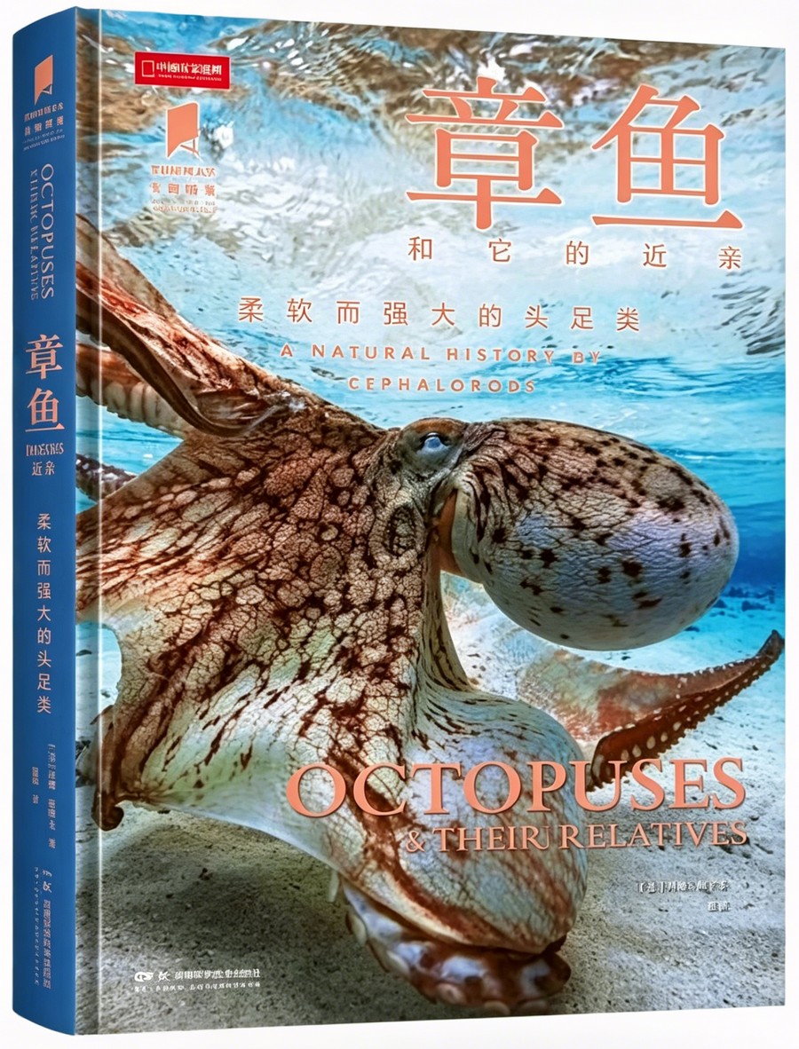 章鱼：柔软而强大的头足类