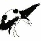 podcaster-avatar