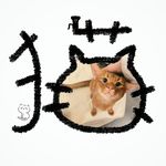 今天要早睡_CP3s