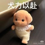 卷心菜开开君