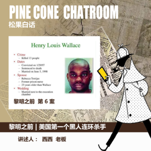 36.罪案时刻|美国的黑人连环杀手：华莱士案