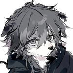 狂奔深海曲奇