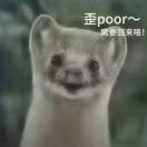 一个悲观主义的i人