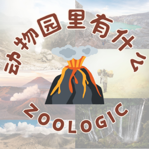 勇闯印尼！闯完地狱见天堂：火山瀑布极限行，我们到底咋从外星球活着回来的？