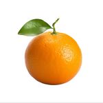 如如不动一颗星